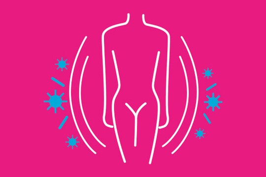 Frauenkörper mit Schutzschild, der körpereigenen Abwehr (Immunsystem)