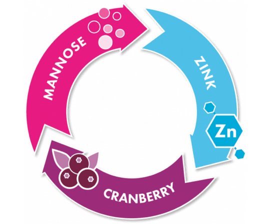 Inhaltsstoffe von Gepan Mannose to go: Mannose, Zink & Cranberry | Hersteller Pohl-Boskamp
