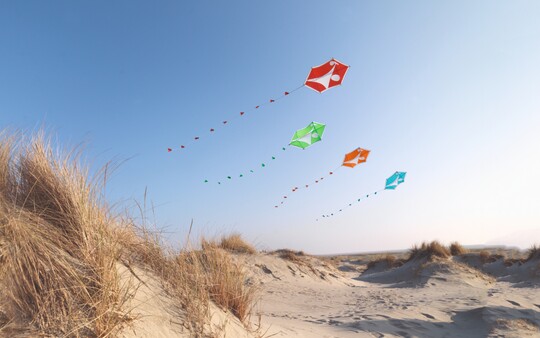 Bunte Drachen fliegen über Sanddünen bei blauem Himmel