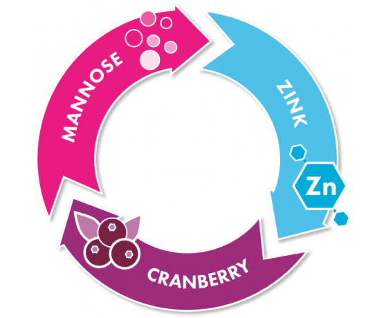 Inhaltsstoffe von Gepan Mannose to go: Mannose, Zink & Cranberry | Hersteller Pohl-Boskamp