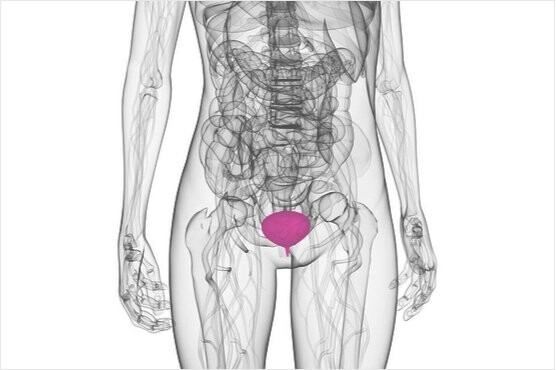 Informationen zur Symptomen und Behandlungsmöglichkeiten einer Strahlencystitis (radiogene Cystitis).